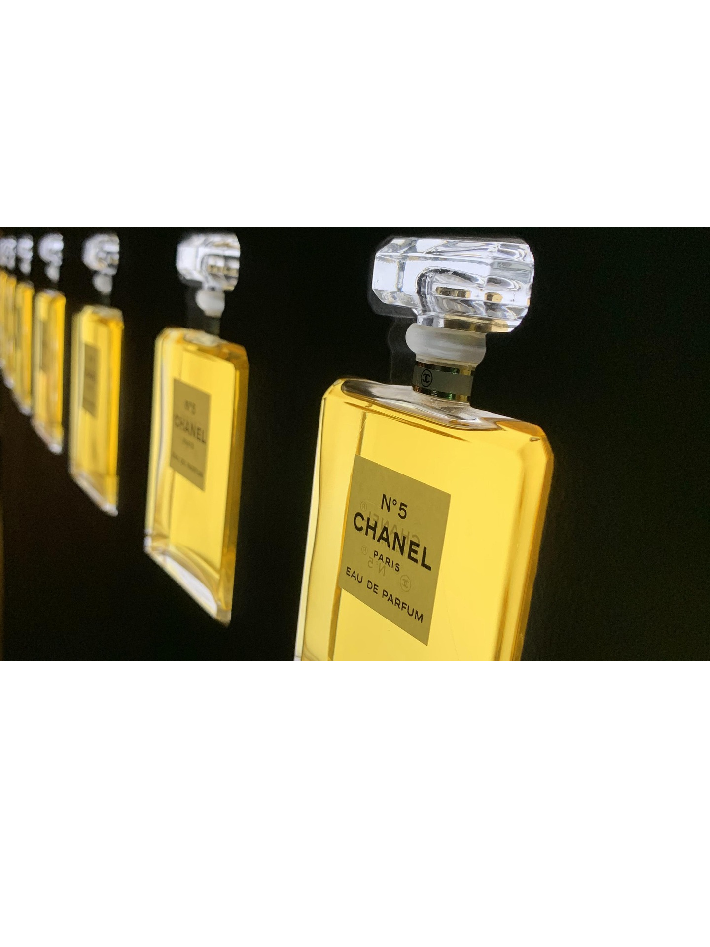 ¿Qué perfume usa Margot Robbie? 